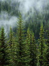 Breathwork - Pust deg hjem- Tirsdag 10. juni