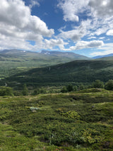 Elemental Mountain Retreat i Lom, Jotunheimen, 13 - 16 august - Eget rom med eget bad