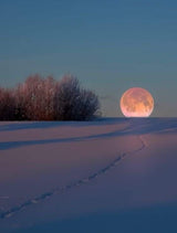 Intim fullmåneseremoni med breathwork  - 12. feb 2025